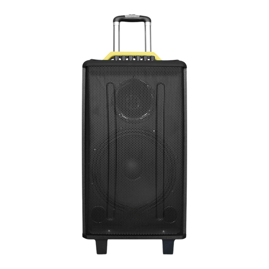Kings Choice 12" 120 Watts Bluetooth Trolley Speaker with USB, MMC FM Radio, 2 Wireless Mic for Karaoke and Functions (12" woofer)